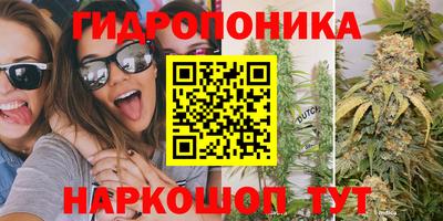 индика Кумертау