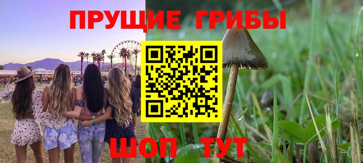 Галлюциногенные грибы мухоморы Коркино