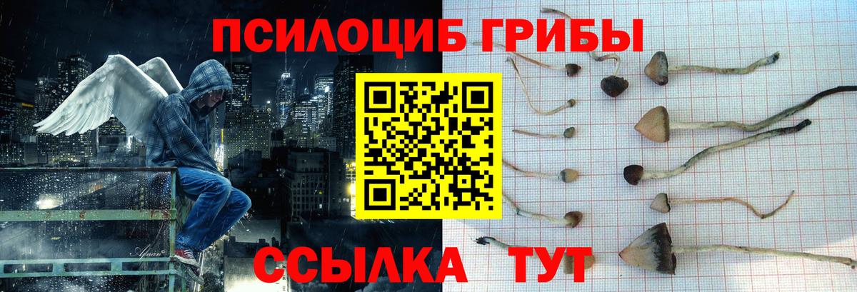 Галлюциногенные грибы ЛСД  Вход с VPN  Коркино 